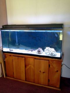 55 Gallon Aquarium Oak Stand Complete Local Pick Up Only