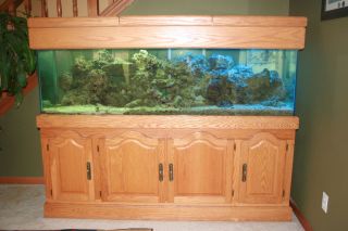 125 GALLON REEF SALT AQUARIUM ALL GLASS WITH CUSTOM STAND AND ALL 