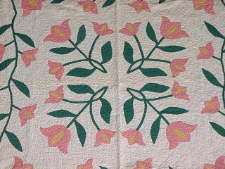 AA Appliqued Tulips Antique Quilt w Checkered Frame