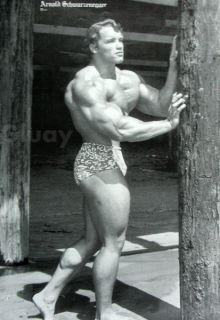 Arnold Schwazenegger Body Builder Poster Muscle 3228