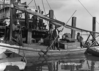 Oyster Fishing Fisher Boat Apalachicola Florida 1909