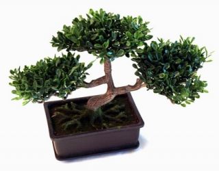 REALISTIC ARTIFICIAL BONSAI TREE BOXWOOD BONSAI PLANT GREAT GIFT