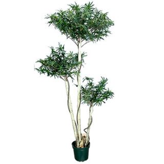 description beautifully shaped artificial tree brings a intriguing 