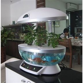    Aquaponics System Hydroponic Agricultural Aquaponic Indoor Fish NEW