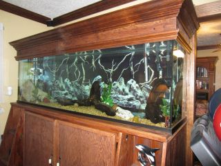   Custom Oak Plywood Stand and 125 Gallon Aquarium set up ready for fish