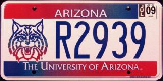 Arizona Wildcats University of AZ License Plate █▀▄▀▄ 