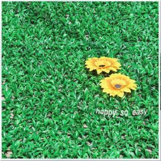   Rug 40cmx60cm 15 75 23 62 Big Synthetic Artificial Grass Lawn Turf Mat