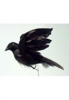    Black Bird Flying Crow Raven Halloween Costume Prop NEW Artificial