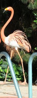 Huge 5 Feet Tall Life Size Bronze Garden Flamingo Yard Statue Art 