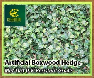 Artificial Boxwood Hedge Mat UV Grade 40 Mats