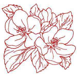 Brother Babylock Embroidery Machine Card Redwork Flowers