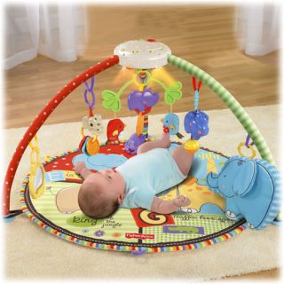 Fisher Price Luv U Zoo Deluxe Musical Mobile Baby Gym New