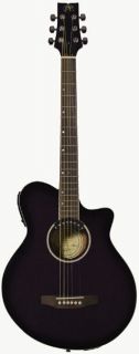   JBEA35 Acoustic Electric Guitar   Black w/Barcus Berry Realm II Preamp