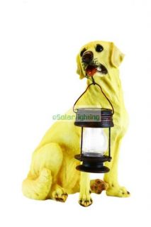 yellow labrador dog with lantern solar light decoration time left