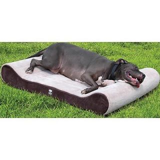 Buddy & Friends Memory Foam Large Contour Lounger Dog Pet Bed NEW