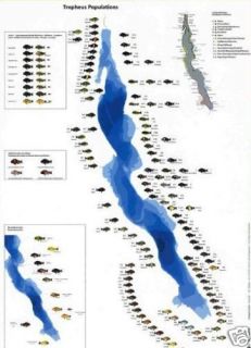 aqualog fold poster all tropheus cichlids  9