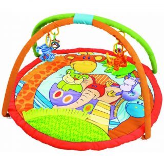 Playgro Noahs Ark Discovery and Activity Gym