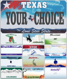 Custom Novelty Aluminum Personalized State License Plate Made in the 
