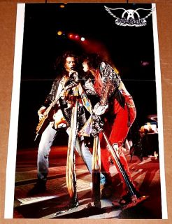 Aerosmith Steven Tyler Joe Perry Live in Concert Poster