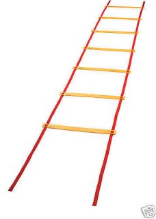 Soccer Speed Training Agility Ladder Adjustable Plastic 12 Flat Rungs 