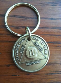 Alcoholics Anonymous AA 2 Year KEYCHAIN Brass Metal Chip Coin Token 