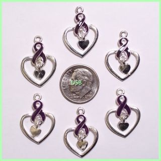 You will receive (6 ) New Awareness Purple Ribbons/Heart Charms