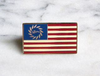 Grateful Dead Join or Die American Flag Lapel Pin