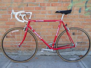 1990s Giant Allegre Road Bike Bicycle Shimano RX100 Vetta Wolber 700 