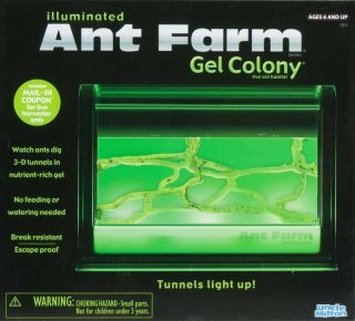 Uncle Milton Illuminated Ant Farm Gel Colony   Live Ant Habitat