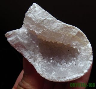 Newly listed 91g natural agate quartz drusy geode specimen rough
