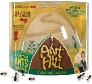 Ant Hill Living Ant Habitat Farm by Insect Lore Science Habitat