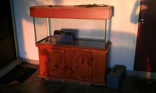 Glass Aquarium 75 Gal with Natural Wood Stand and Lighted Canopy