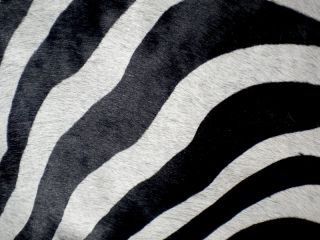 Zebra Print Printed Cowhide Skin Rug Cow Hide DC3692