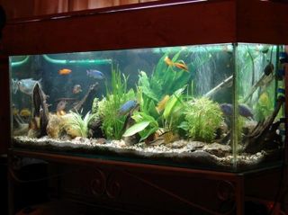 Fish Tank Aquarium Glass Stain Scratch Removal Polishing Kit