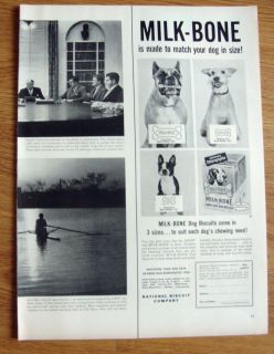 1953 milk bone dog biscuits ad boxer bosten terrier dog