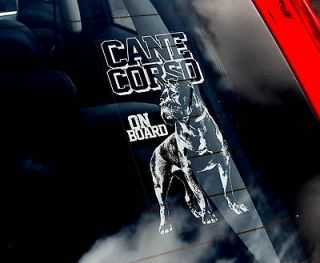 Cane Corso   Car Window Sticker Sign   Corz Molosser Dog   n.Collar 