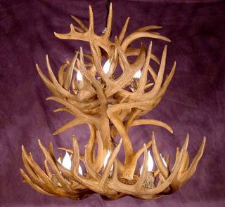 Real Antler 2TIER Whitetail Chandelier Lamps by CDN E28