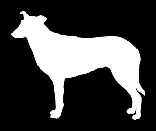 smooth collie vinyl dog decal 1353  3