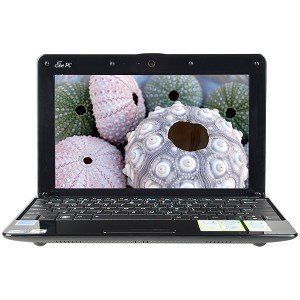 ASUS Eee PC 1005HA 10 1 160 GB Atom 1 6 GHz 2 GB Netbook Black