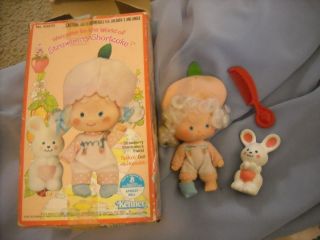   Shortcake Doll Apricot Baby in Box w Pet Toy Peach Bunny