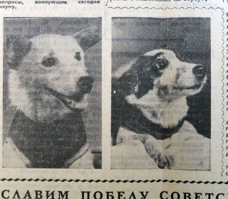 1960 Russia Pravda Newspaper Belka Strelka Soviet Space Dogs