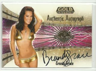 Benchwarmer 2007 Gold Edition Brandy Grace Auto Autograph Hot