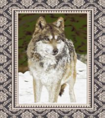 Standing Wolf Blanket Throw Husky Dog Bedding Free SHIP Luxurious 