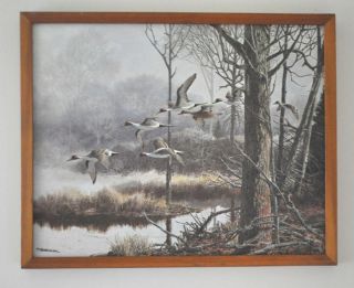   Over Pond Print on Canvas by T Beecham 15 3 8x19 3 8 Framed
