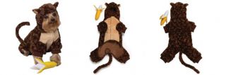 we re not monkeying around our monkey costume for dogs