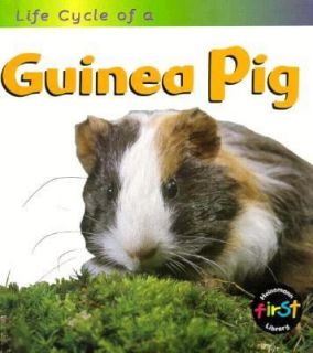 Guinea Pig by Angela Royston (1998, Hard