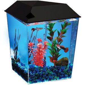 Hawkeye 1 Corner Tank Betta Fish Aquarium 1 Gallon