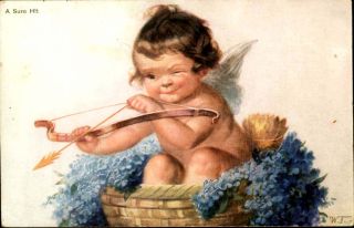 Wally Fialkowska Cute Archer Cupid A Sure Hit Postcard