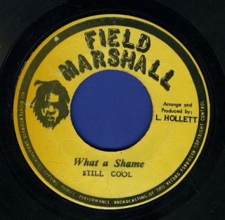   Cool What A Shame Militants Steve Biko Massive Reggae 45 7
