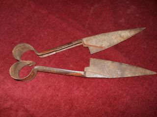 Antique Sheep Shearing Shears Scissors Non Electric 6 1 2 in Blades 